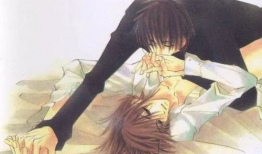 耽美动漫百日蔷薇,耽美世界中的青春与救赎